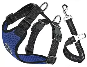 arnes-de-auto-para-perros
